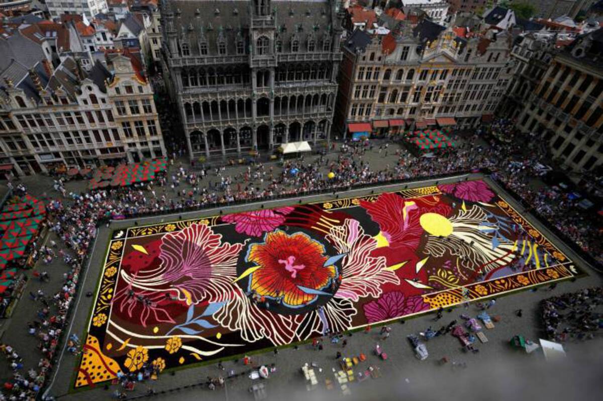 brussels flower carpet 2024