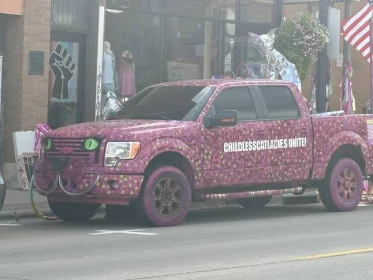 ford f-series - Childlesscatladies Unite!