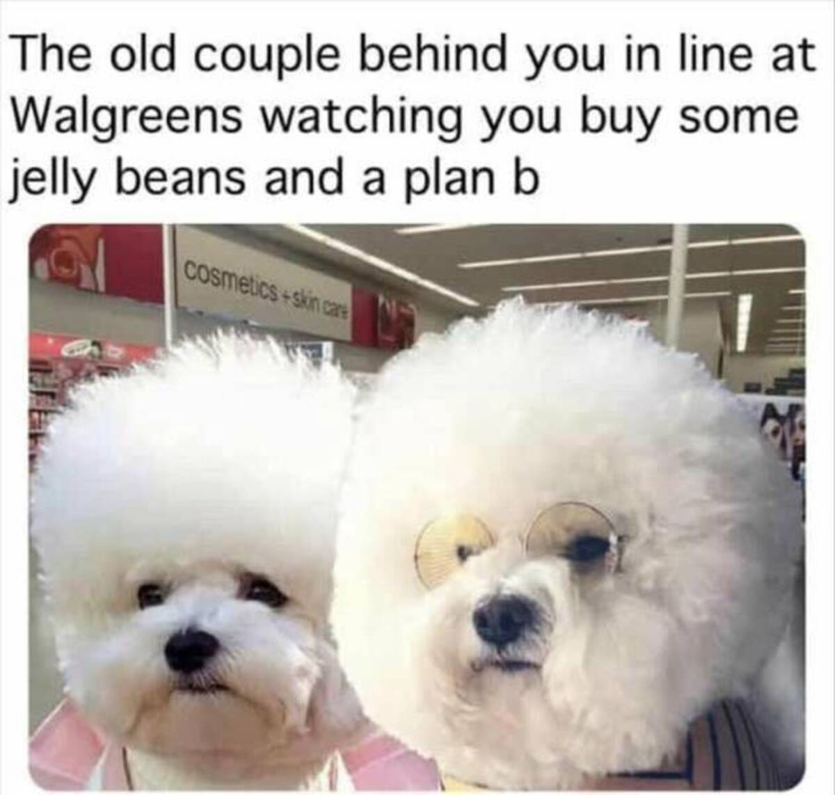 bolognese - The old couple behind you in line at Walgreens watching you buy some jelly beans and a plan b Cosmeticsskin care