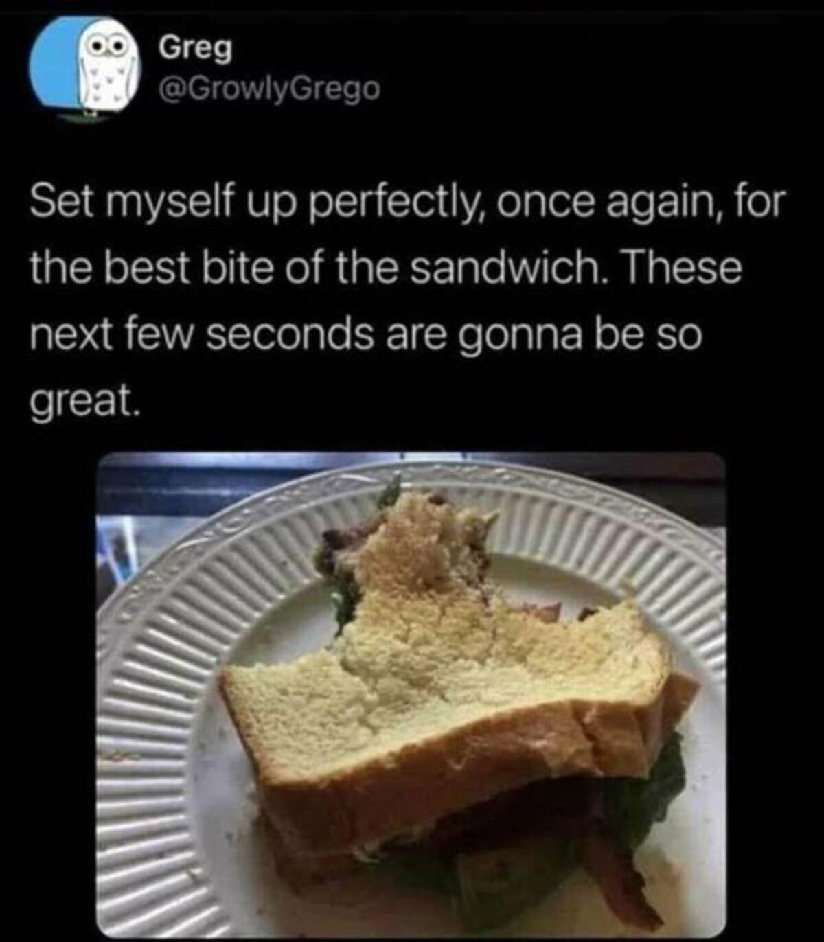 sliced bread - Greg Set myself up perfectly, once again, for the best bite of the sandwich. These next few seconds are gonna be so great.