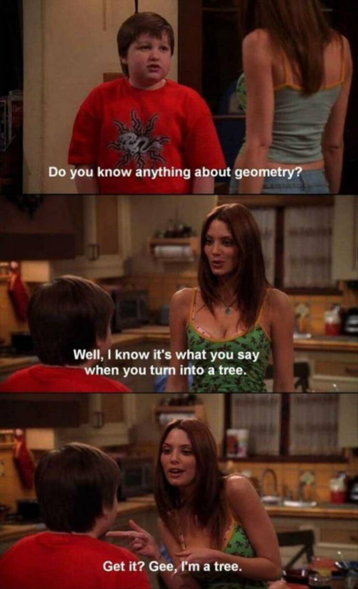 two and a half men memes - 40 Do you know anything about geometry? Well, I know it's what you say when you turn into a tree. Get it? Gee, I'm a tree.