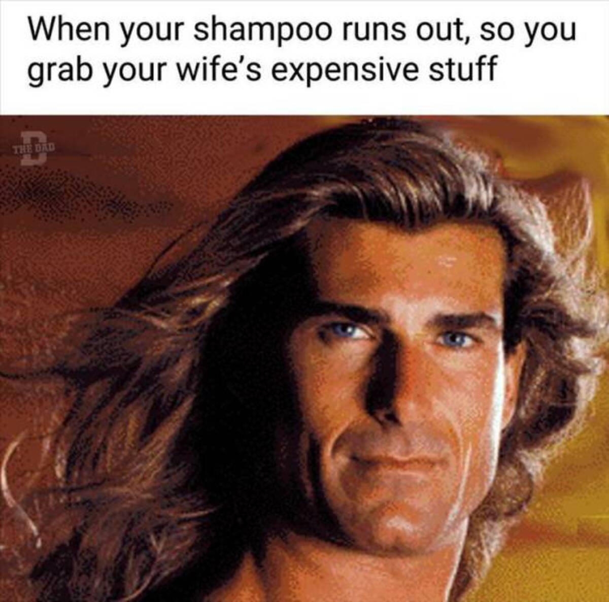 fabio flowing hair - When your shampoo runs out, so you grab your wife's expensive stuff The Dad