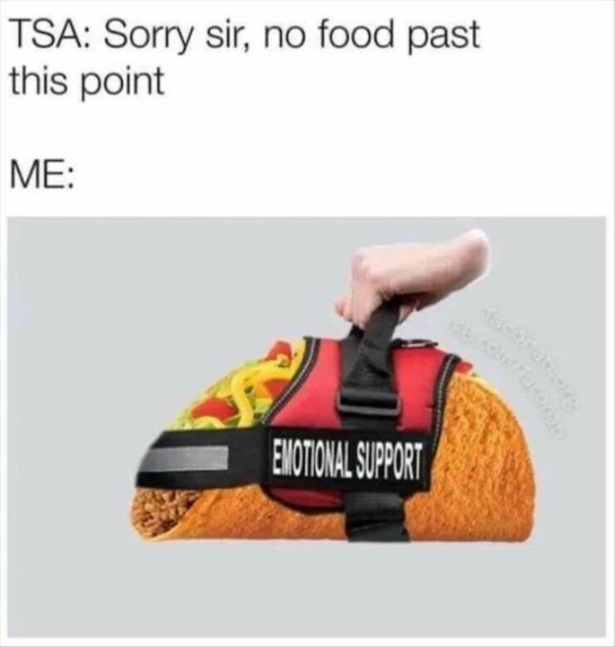 emotional support garlic bread - Tsa Sorry sir, no food past this point Me Emotional Support asconatuorC