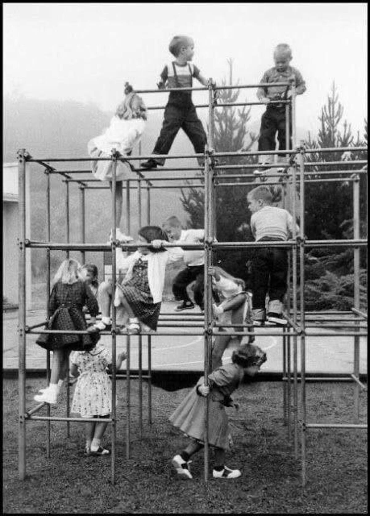 old monkey bars