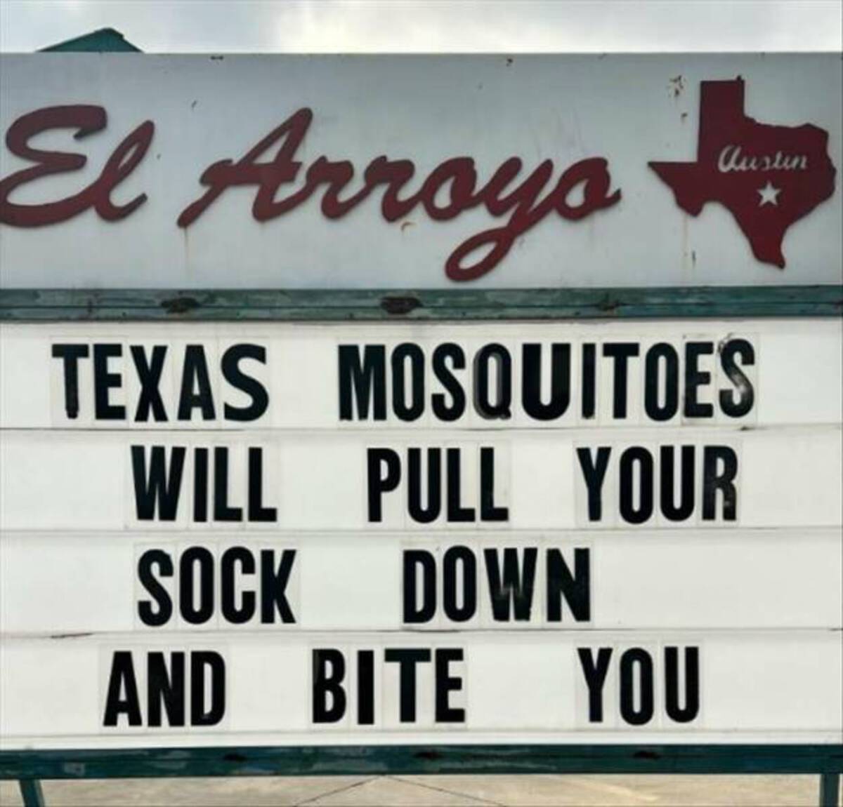 signage - El Arroyo Austin Texas Mosquitoes Will Pull Your Sock Down And Bite You