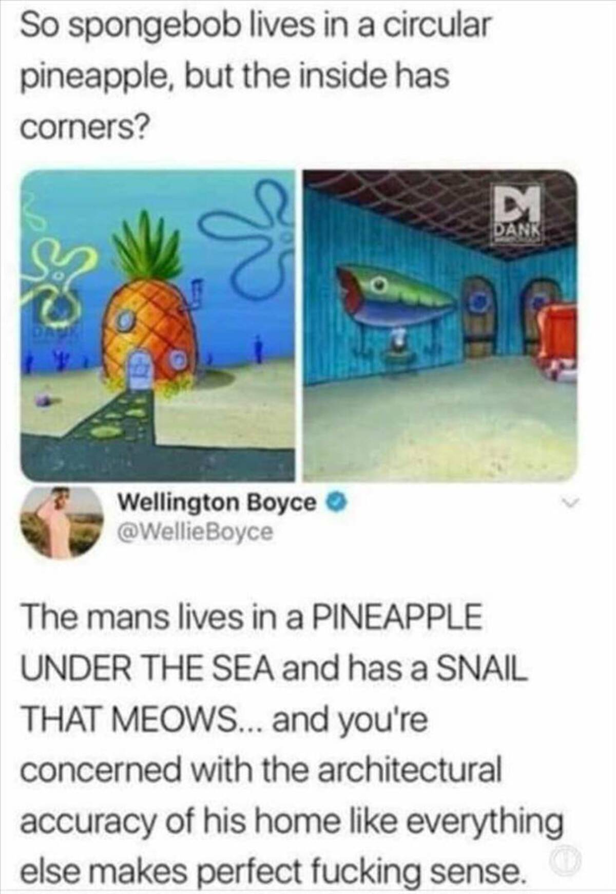 Internet meme - So spongebob lives in a circular pineapple, but the inside has corners? D1 Dank Dank Wellington Boyce The mans lives in a Pineapple Under The Sea and has a Snail That Meows... and you're concerned with the architectural accuracy of his hom