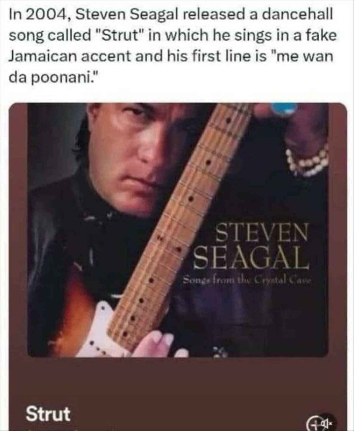 steven seagal strut - In 2004, Steven Seagal released a dancehall song called "Strut" in which he sings in a fake Jamaican accent and his first line is "me wan da poonani." Steven Seagal Songs from the Crystal Cave Strut