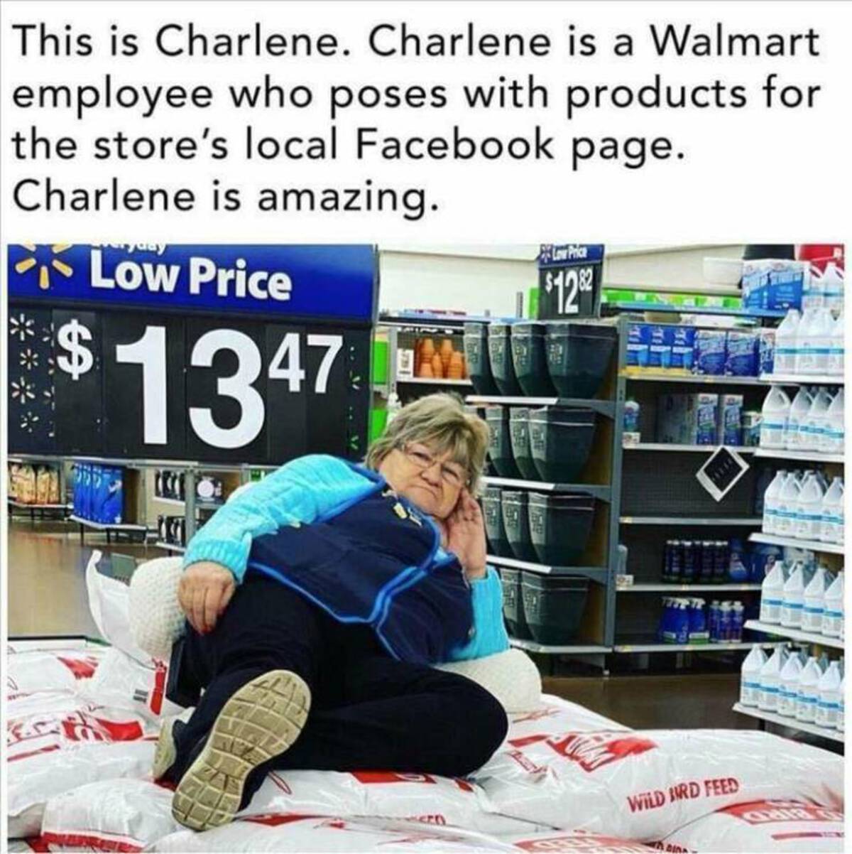 random memes - This is Charlene. Charlene is a Walmart employee who poses with products for the store's local Facebook page. Charlene is amazing. Low Price $1347 B Low Price $1282 Wild Bird Feed