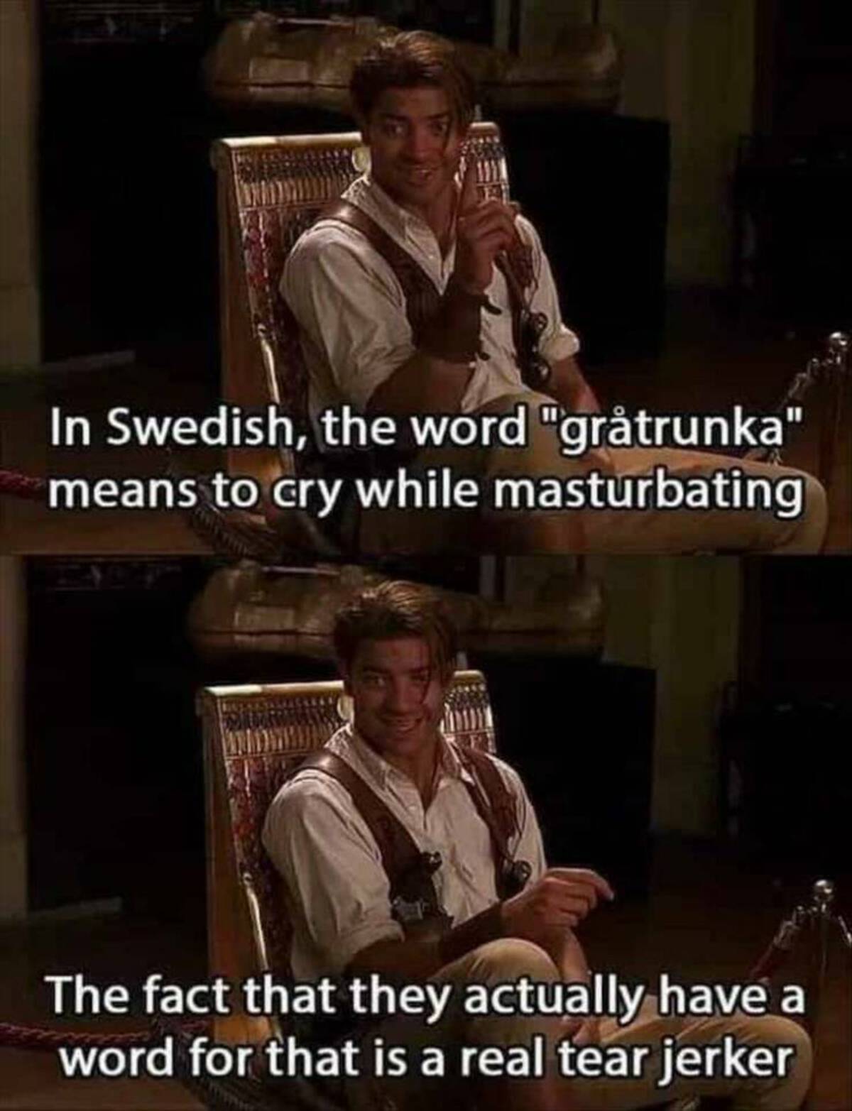 tearjerker meme - In Swedish, the word "grtrunka" means to cry while masturbating The fact that they actually have a word for that is a real tear jerker