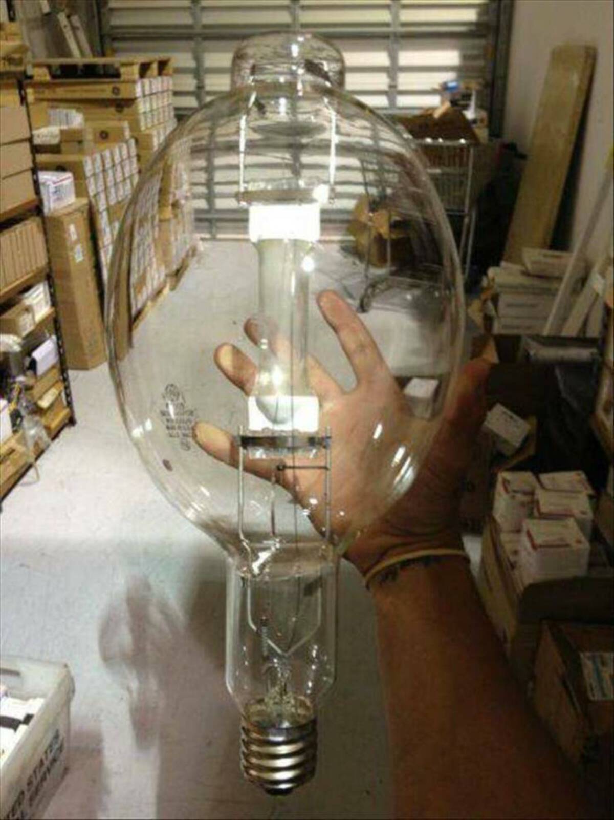 incandescent light bulb