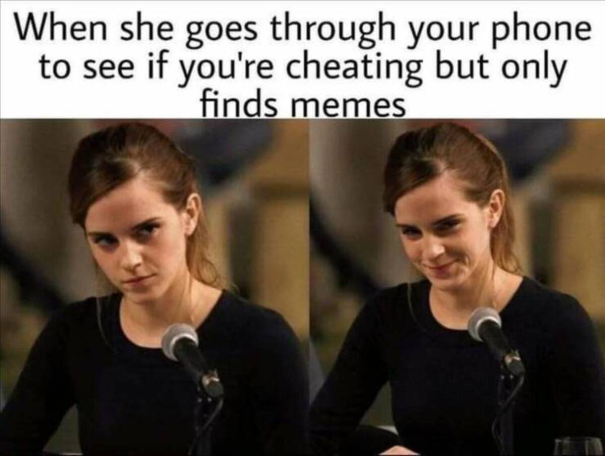 she looks through your phone - When she goes through your phone to see if you're cheating but only finds memes