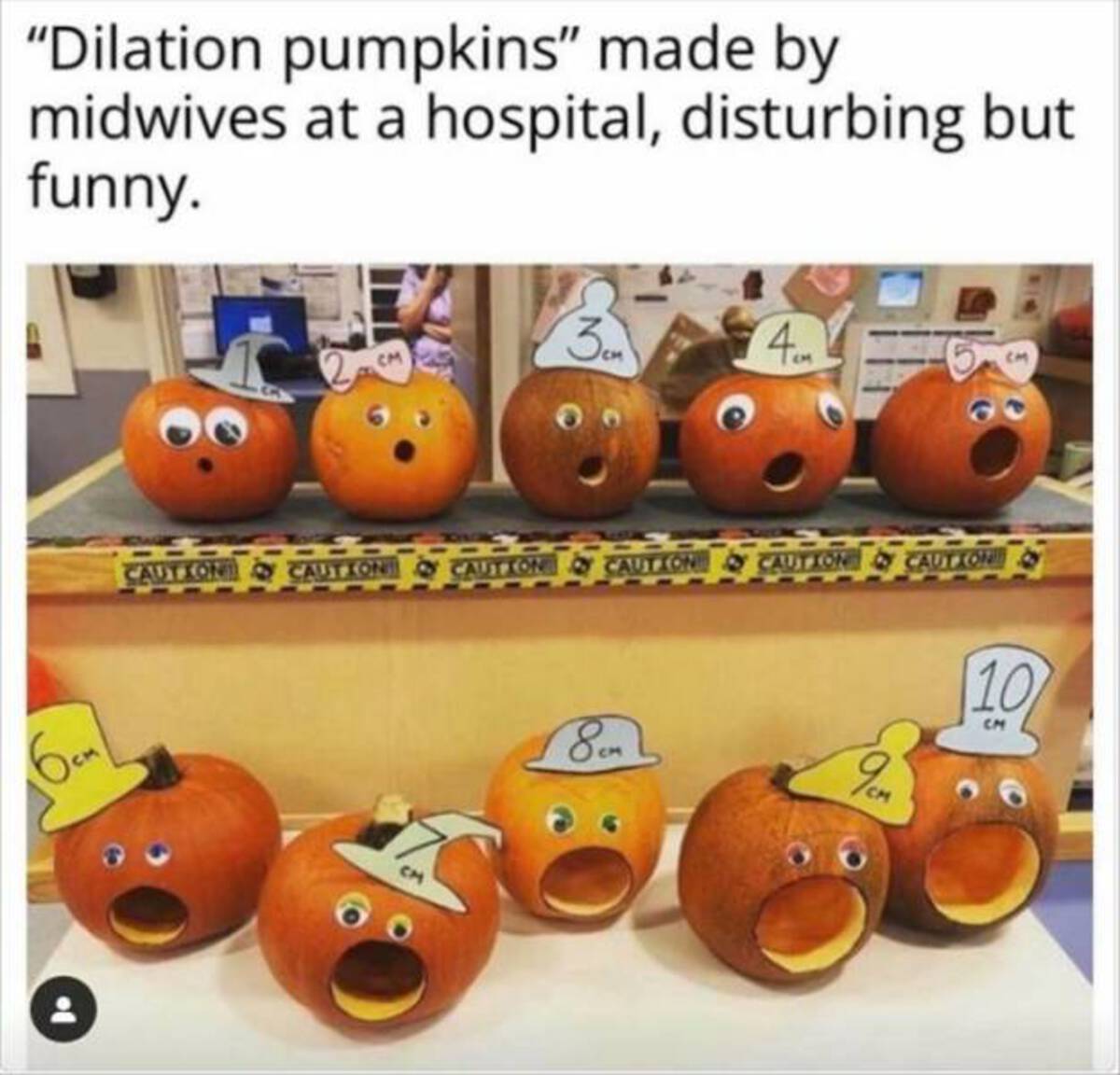 halloween pumpkins dilated - "Dilation pumpkins" made by midwives at a hospital, disturbing but funny. 3 4 10 6cm Caution Caution Caution Caution Caution Caution 8 5