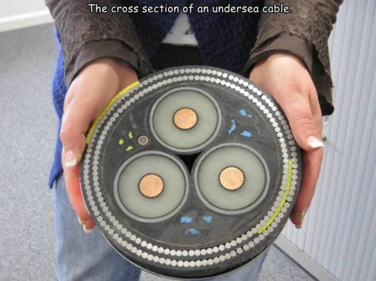 internet cables in the ocean cut in half - The cross section of an undersea cable.