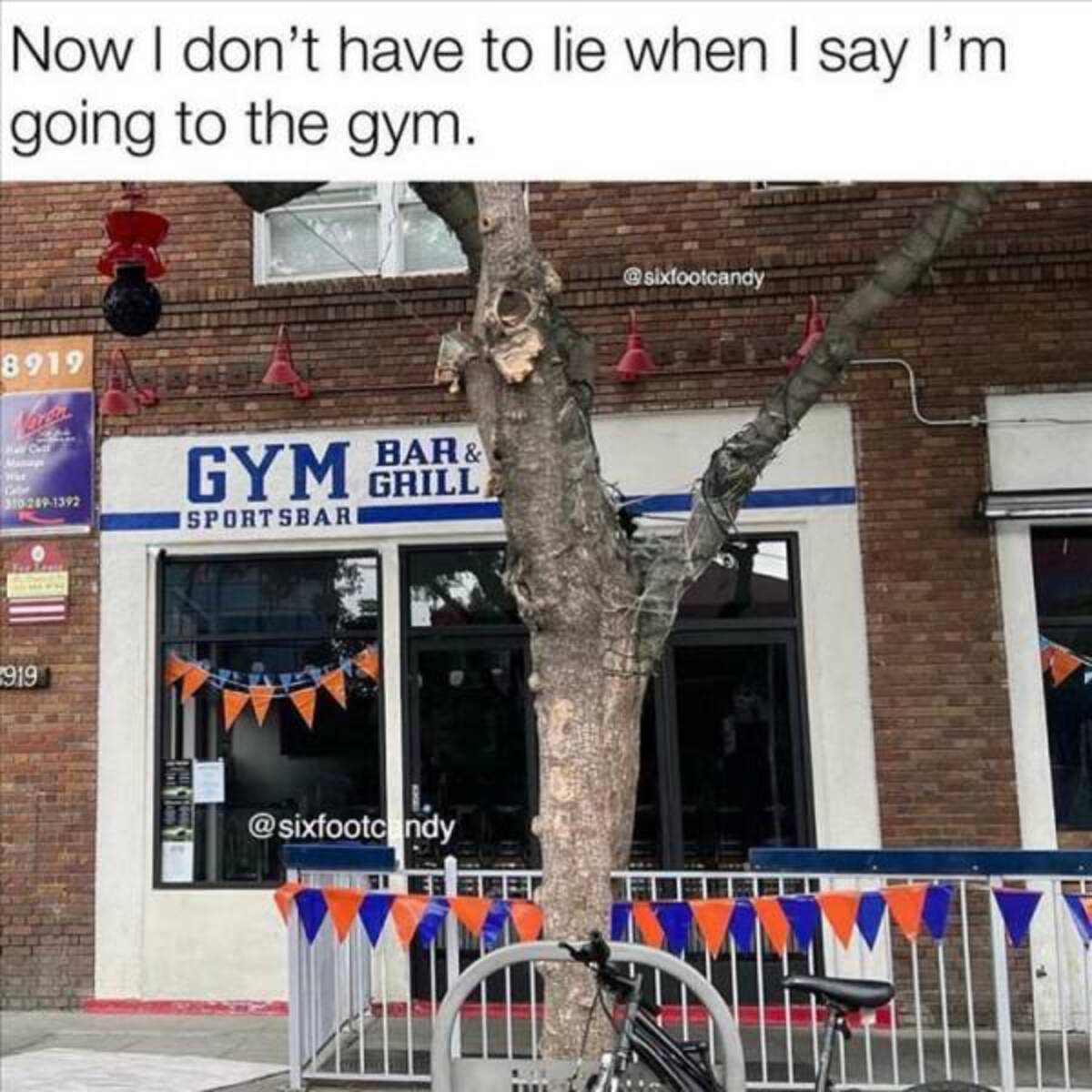 tree - Now I don't have to lie when I say I'm going to the gym. 8919 War 3102891392 Bar & Gym Grill Sportsbar 919