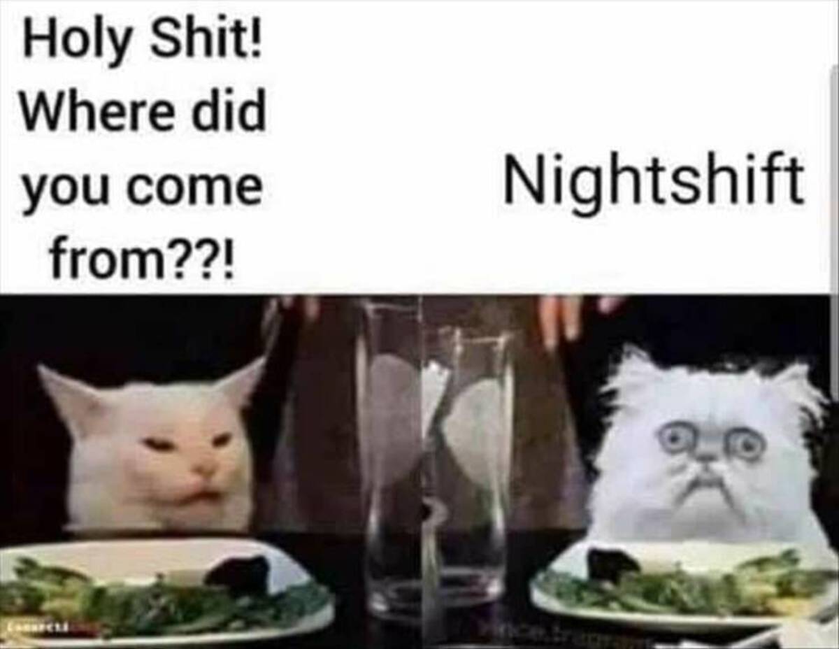 you come from night shift cat meme - Holy Shit! Where did you come from??! Nightshift vince.tra