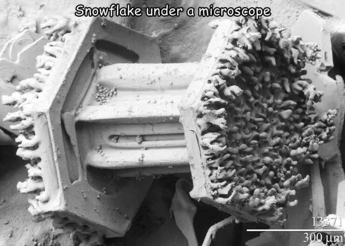 snowflake under microscope - Snowflake under a microscope 13371 300 um