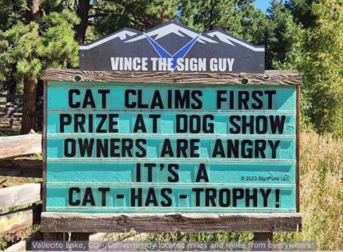 street sign - Vince The Sign Guy Cat Claims First Prize At Dog Show Owners Are Angry It'S A 2023 SignPuns Llc CatHasTrophy! Vallecito Lake, Co Conveniently located miles and miles from everywhere!