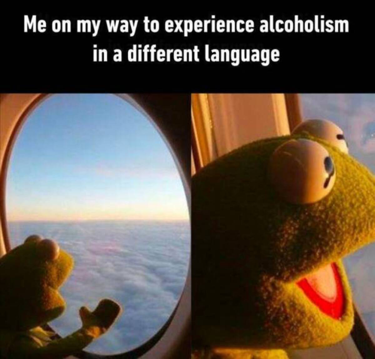 funny memes travel - Me on my way to experience alcoholism in a different language