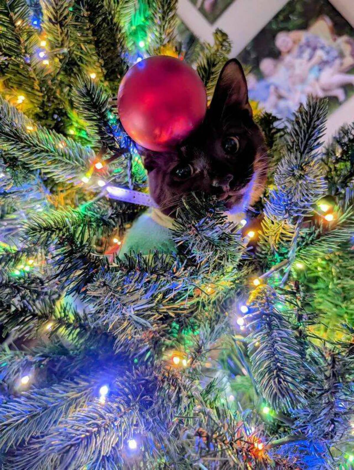 40 Fun Festive Photos To Fuel Your Morning