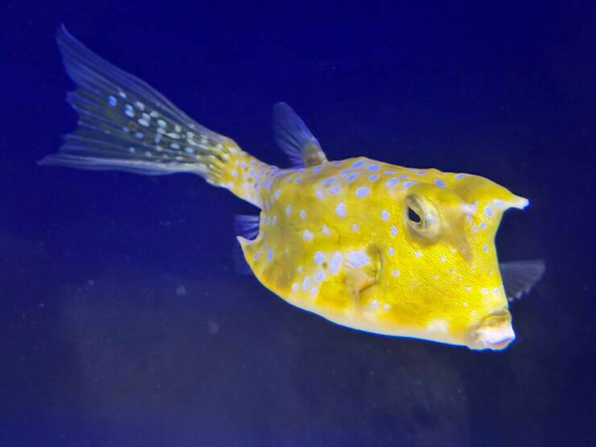 37 Fantabulous Pics and Memes To Kill Some Time