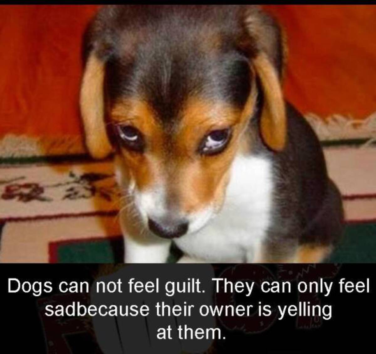 37 Fantabulous Pics and Memes To Kill Some Time