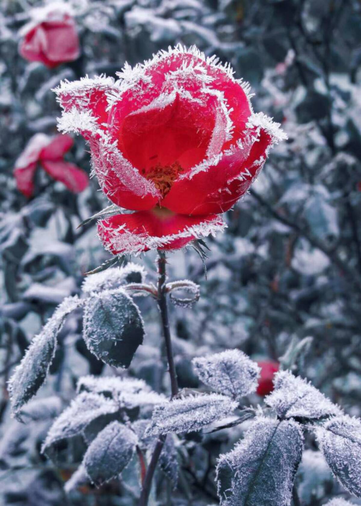 37 Fantabulous Pics and Memes To Kill Some Time