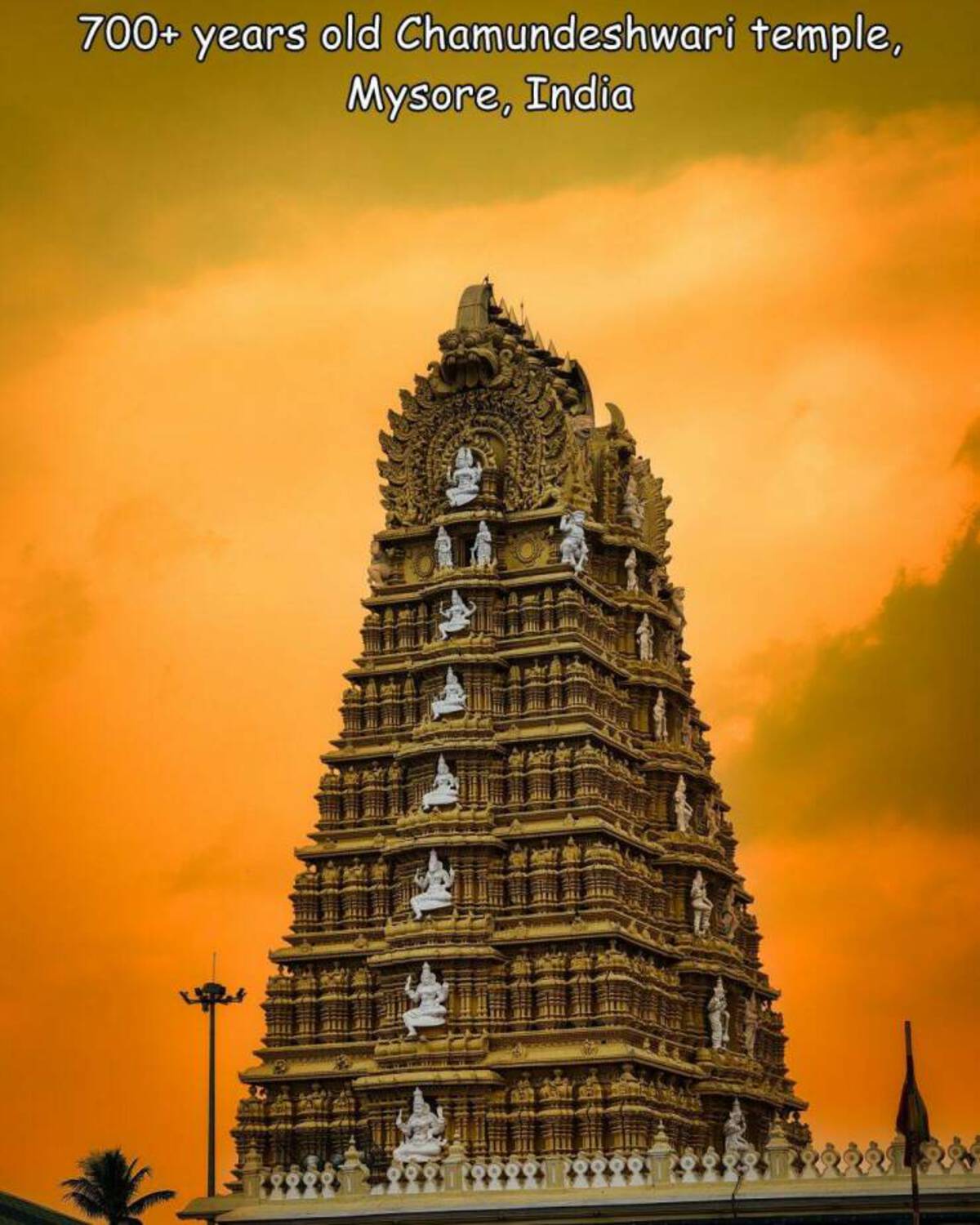 37 Fantabulous Pics and Memes To Kill Some Time