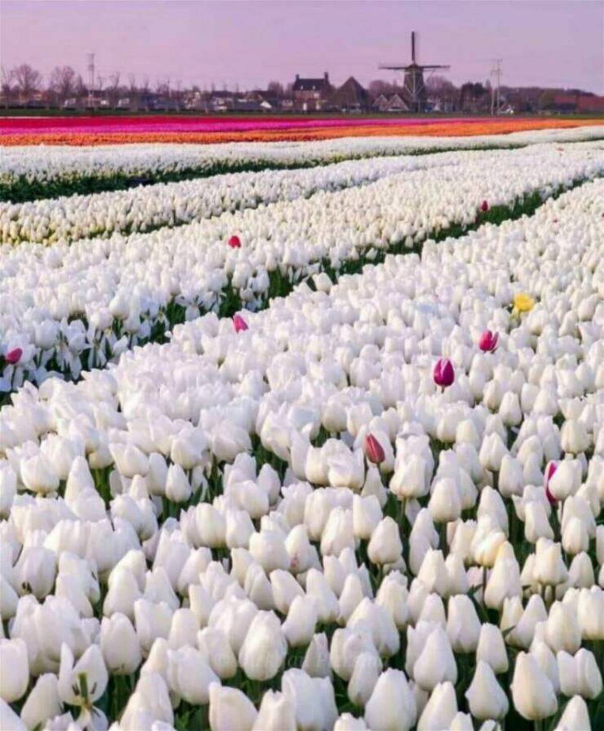 37 Fantabulous Pics and Memes To Kill Some Time