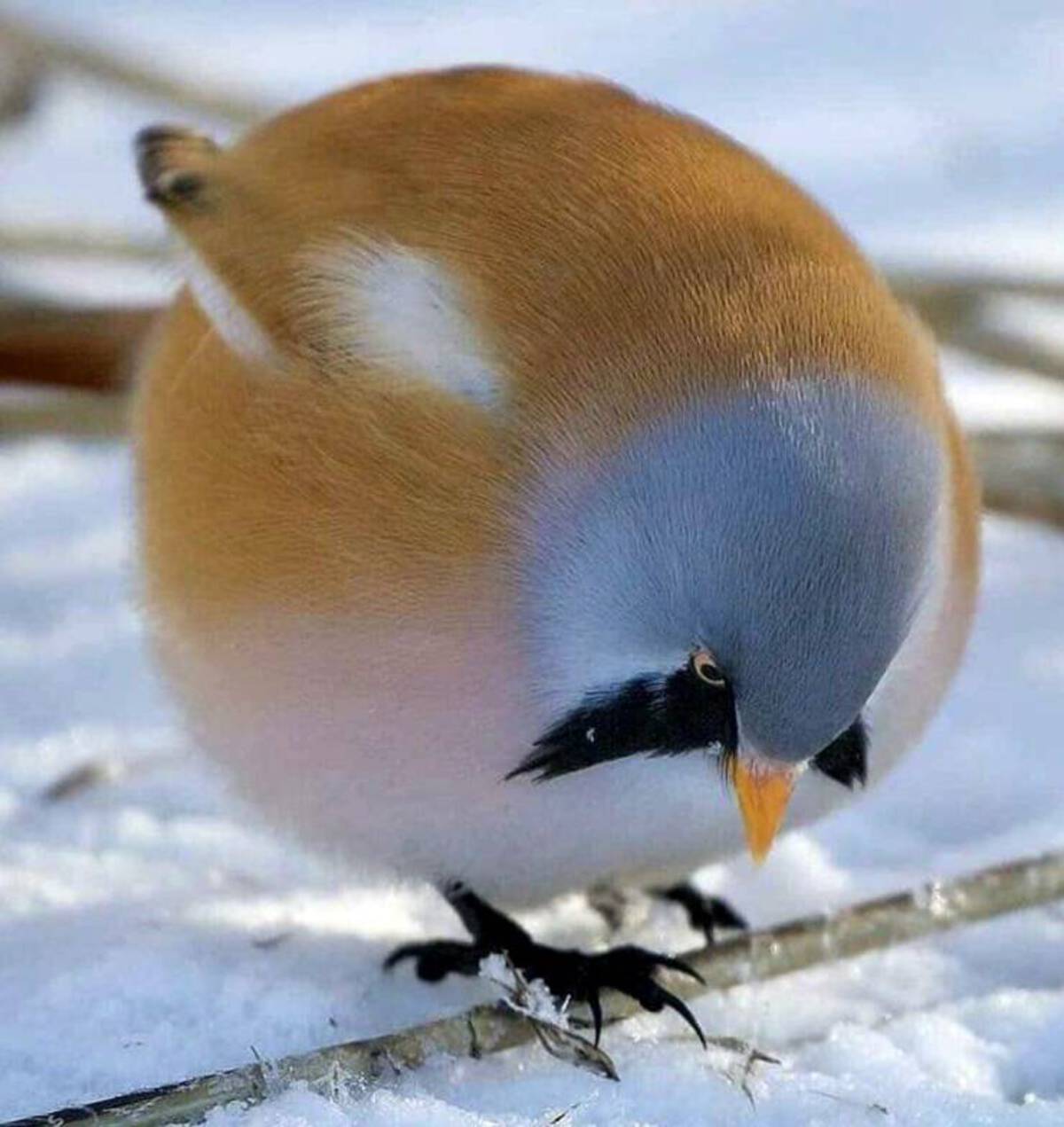 37 Fantabulous Pics and Memes To Kill Some Time