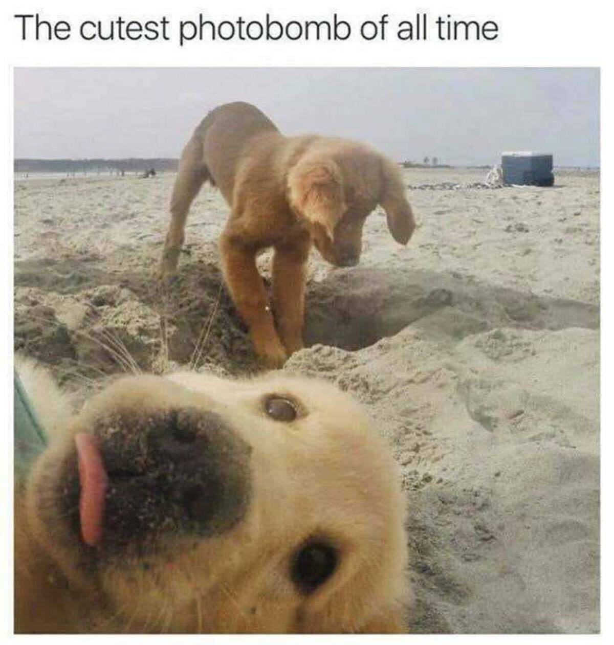 37 Fantabulous Pics and Memes To Kill Some Time