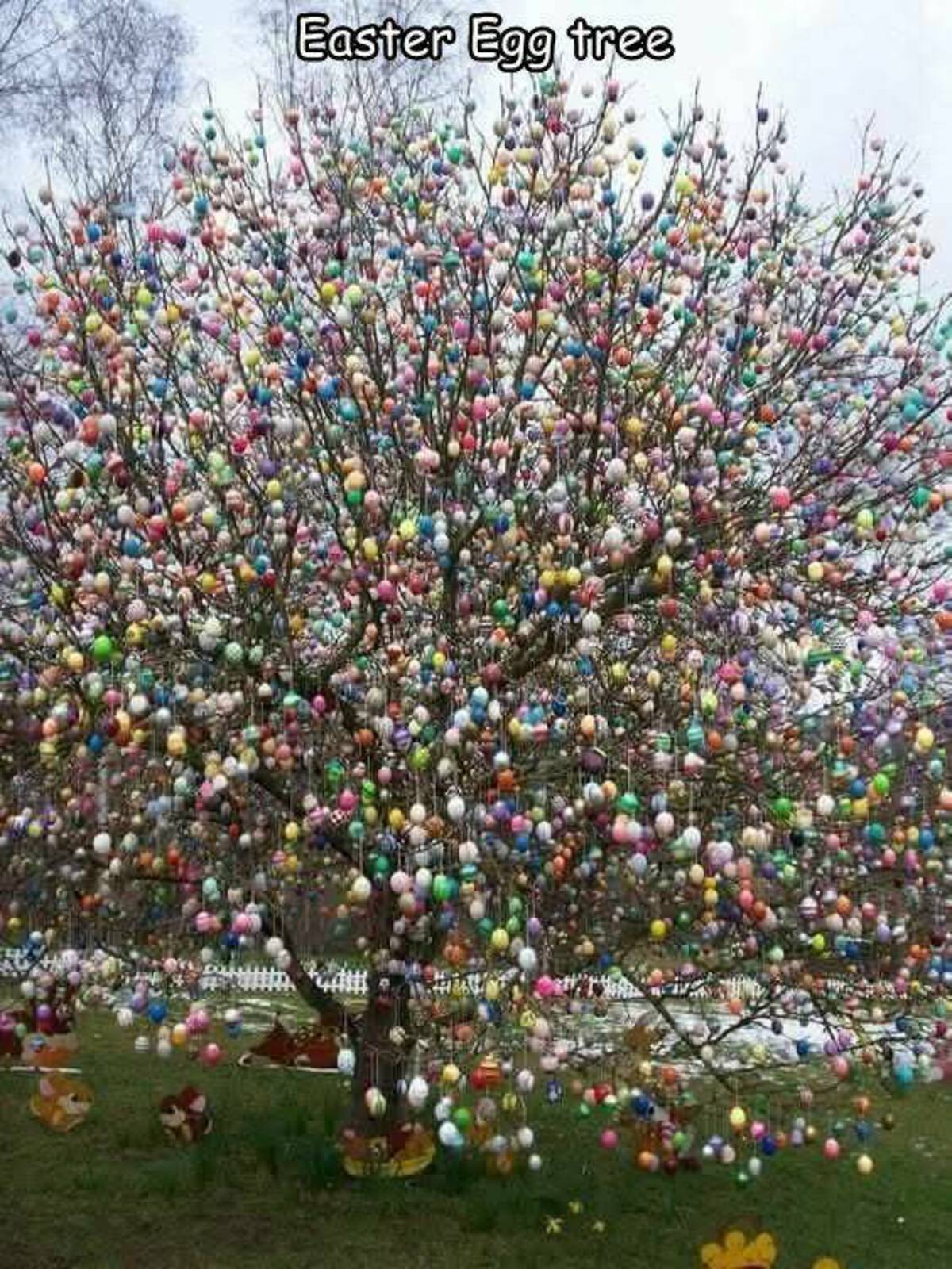 37 Fantabulous Pics and Memes To Kill Some Time