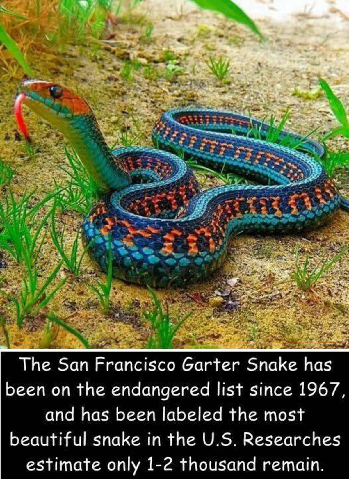 33 Fantabulous Pics and Memes To Kill Some Time