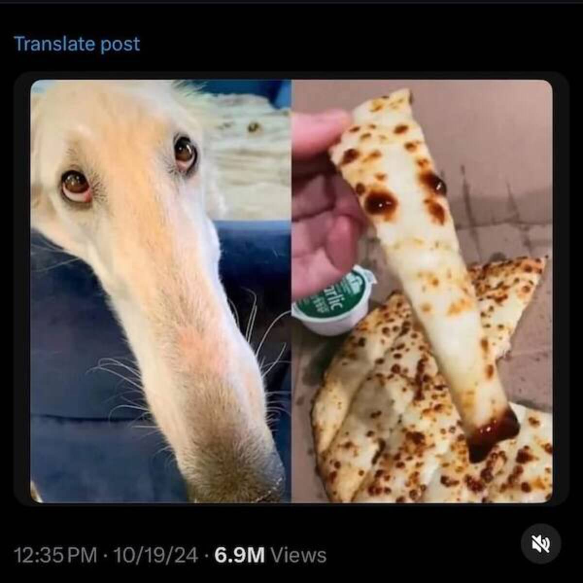 33 Fantabulous Pics and Memes To Kill Some Time