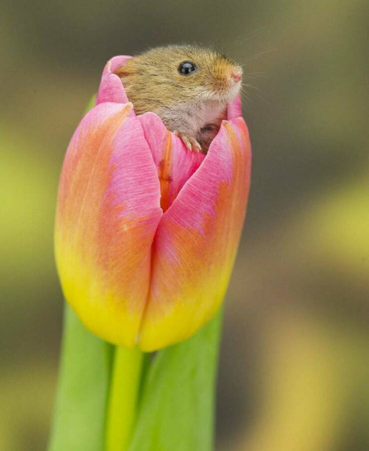 33 Fantabulous Pics and Memes To Kill Some Time