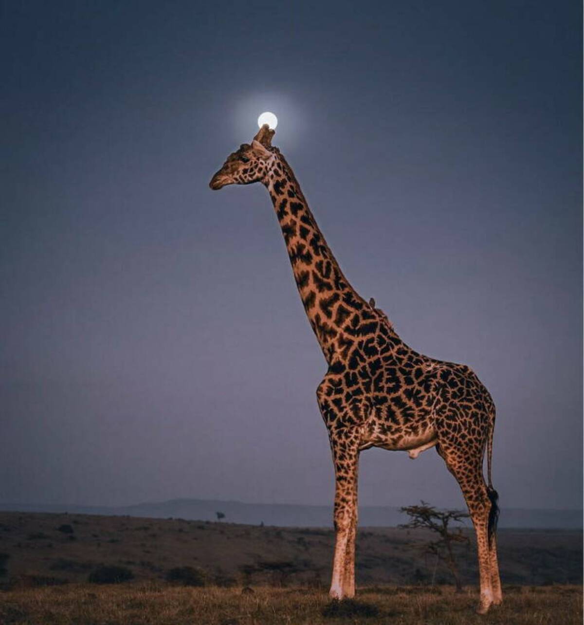 33 Fantabulous Pics and Memes To Kill Some Time