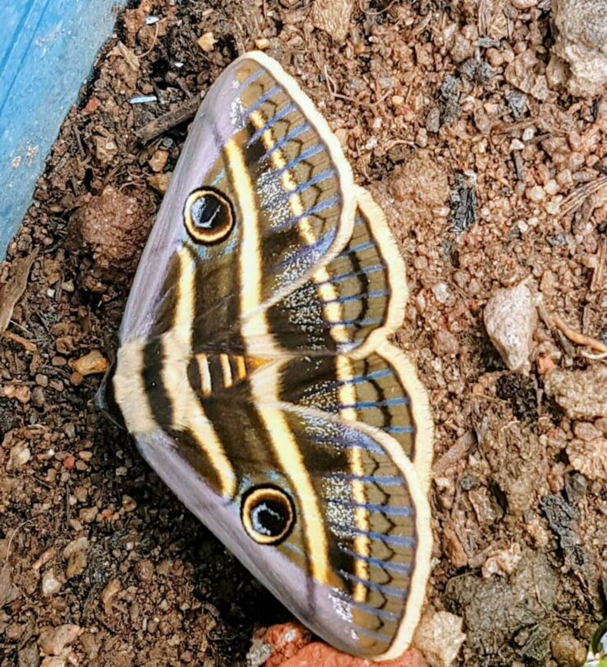 33 Fantabulous Pics and Memes To Kill Some Time