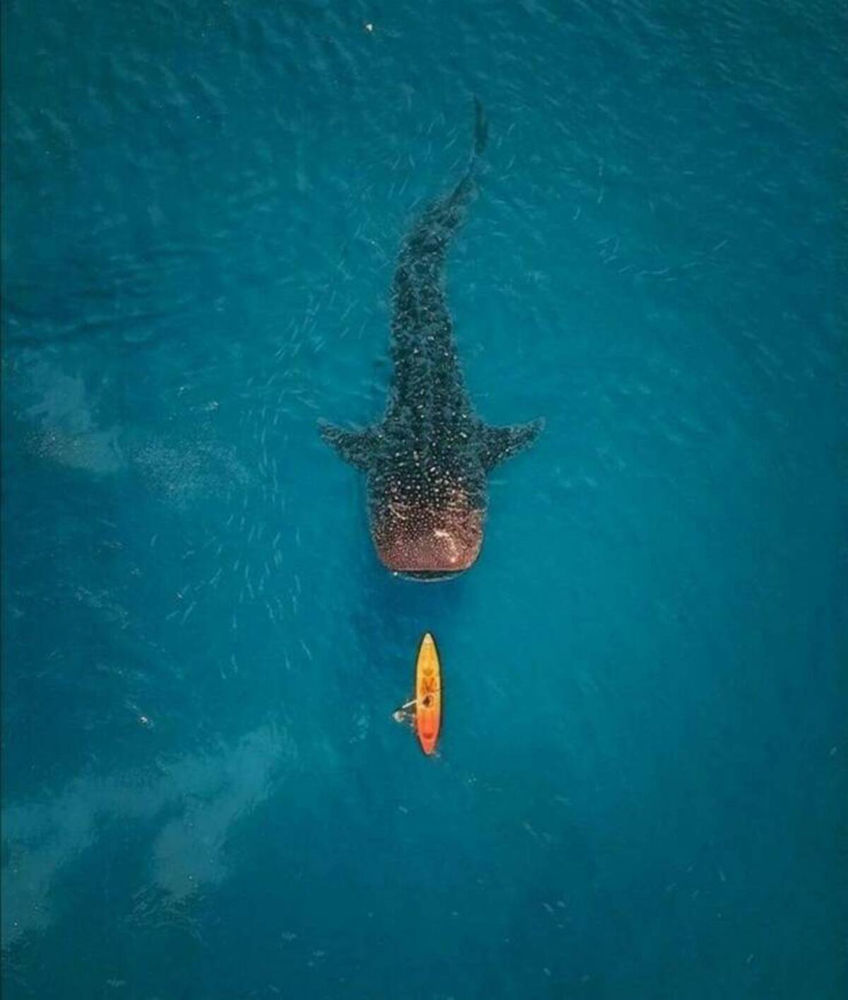 33 Fantabulous Pics and Memes To Kill Some Time