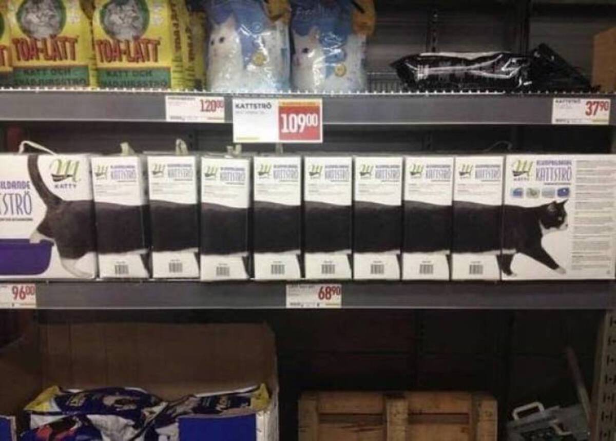 21 Times When Creativity Goes Too Far