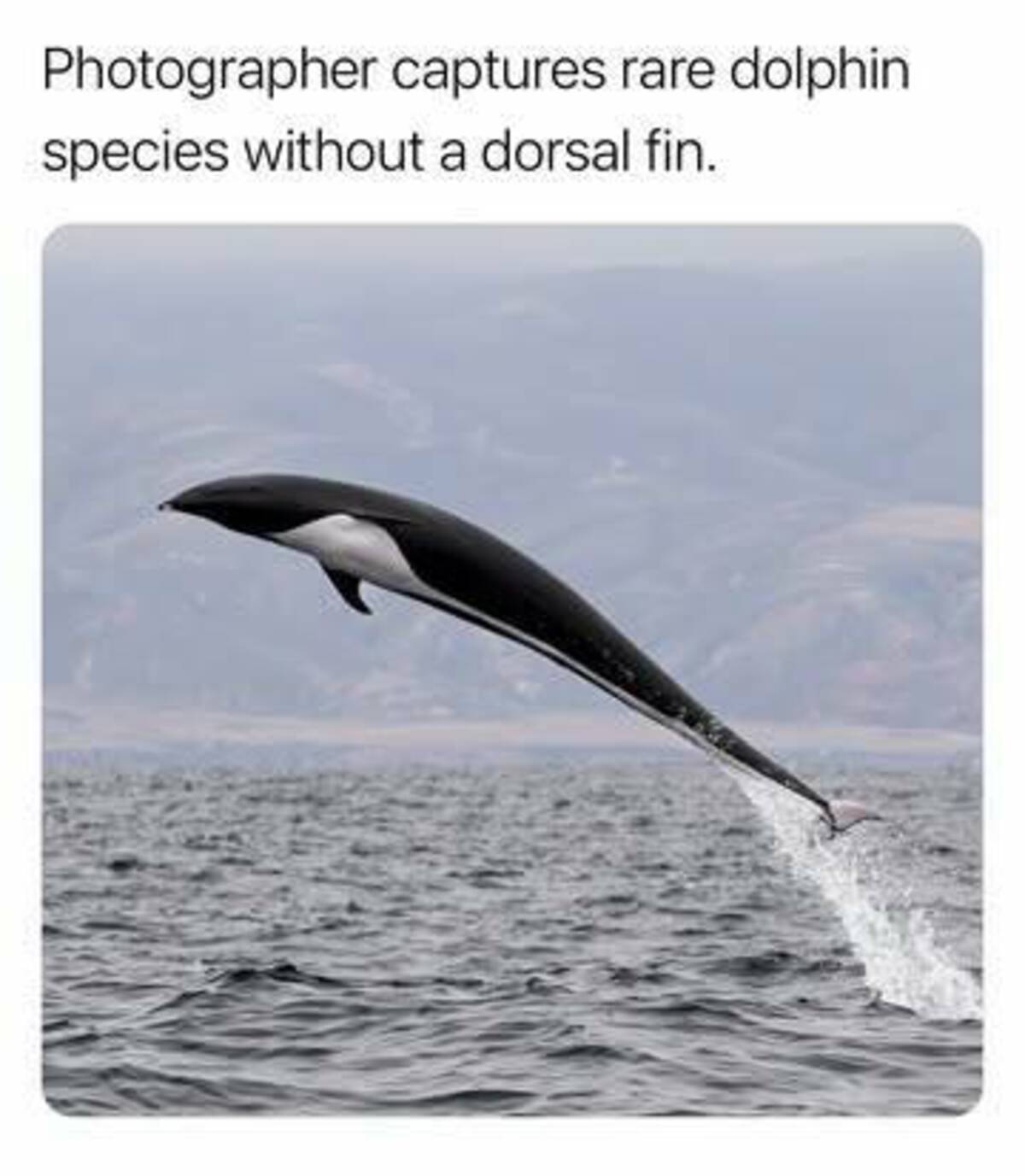 39 Fantabulous Pics and Memes To Kill Some Time