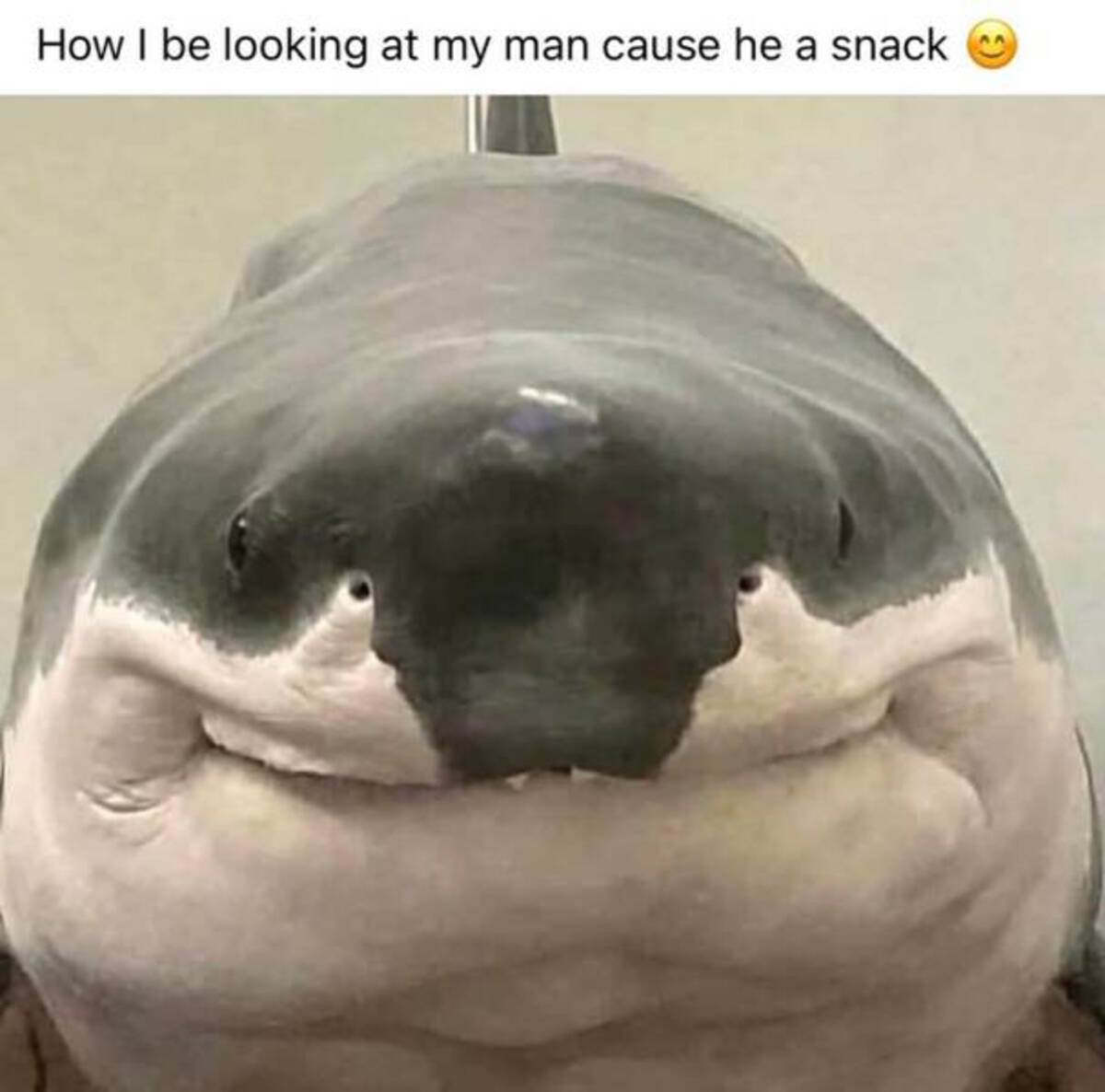 39 Fantabulous Pics and Memes To Kill Some Time