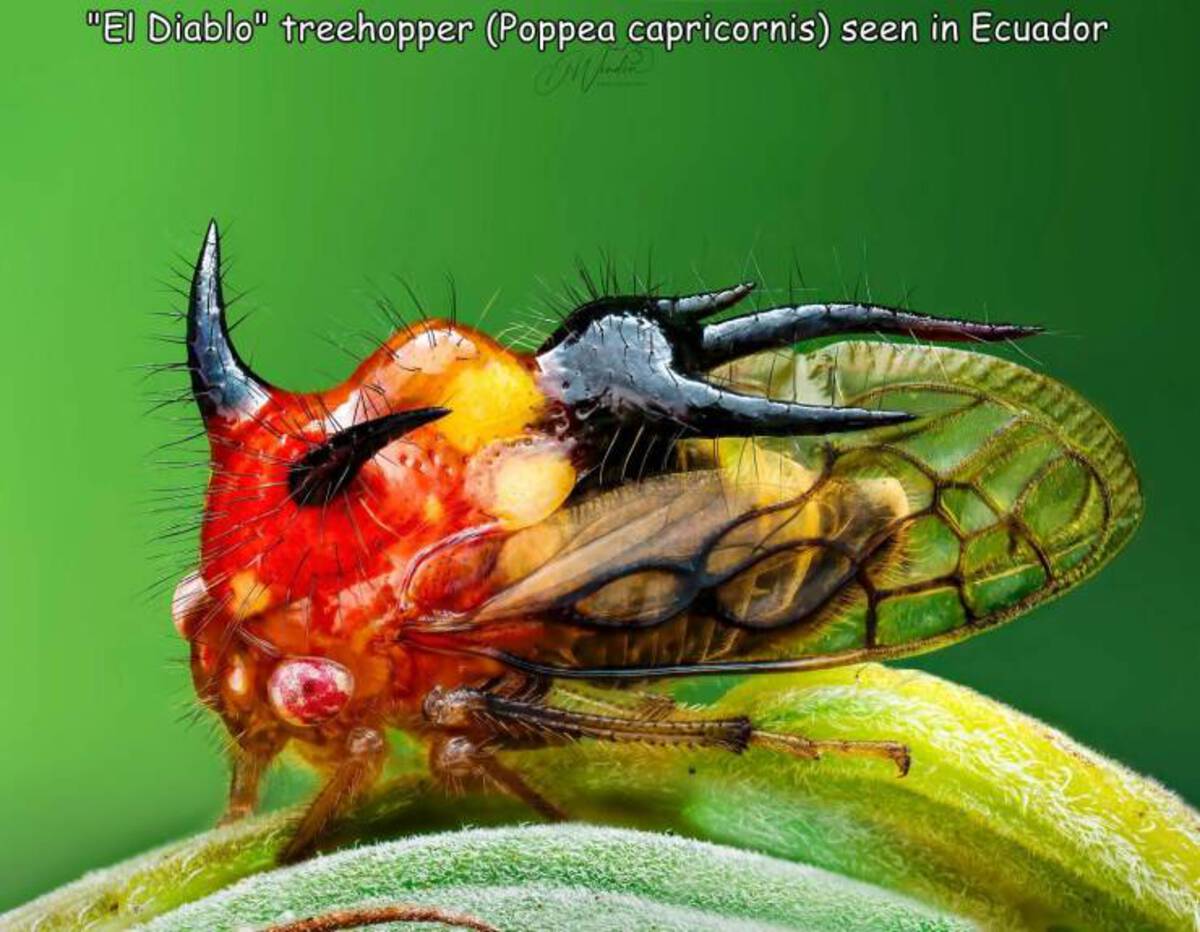 39 Fantabulous Pics and Memes To Kill Some Time