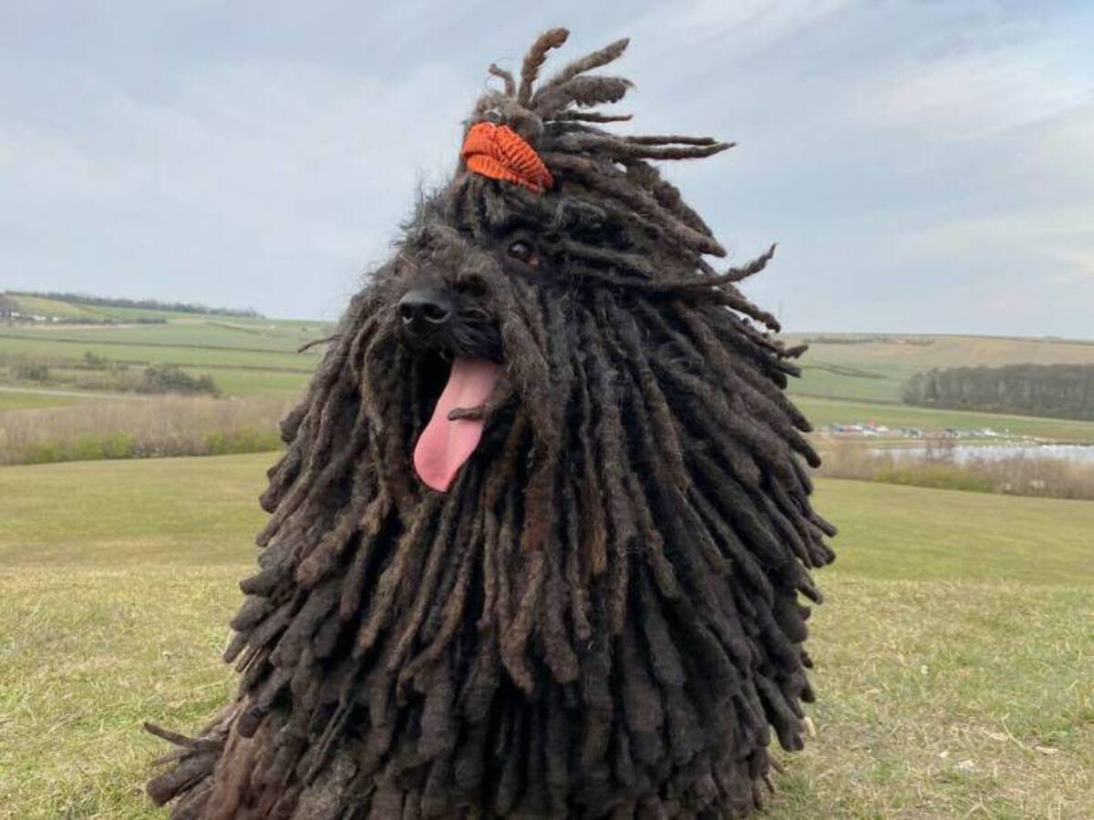 39 Fantabulous Pics and Memes To Kill Some Time