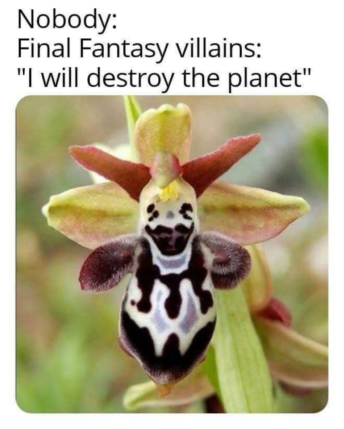 39 Fantabulous Pics and Memes To Kill Some Time