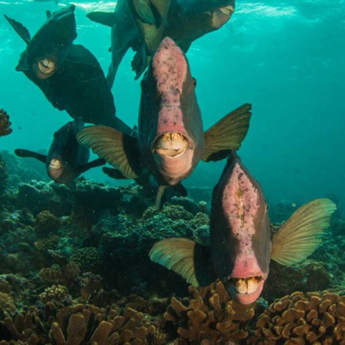 39 Fantabulous Pics and Memes To Kill Some Time