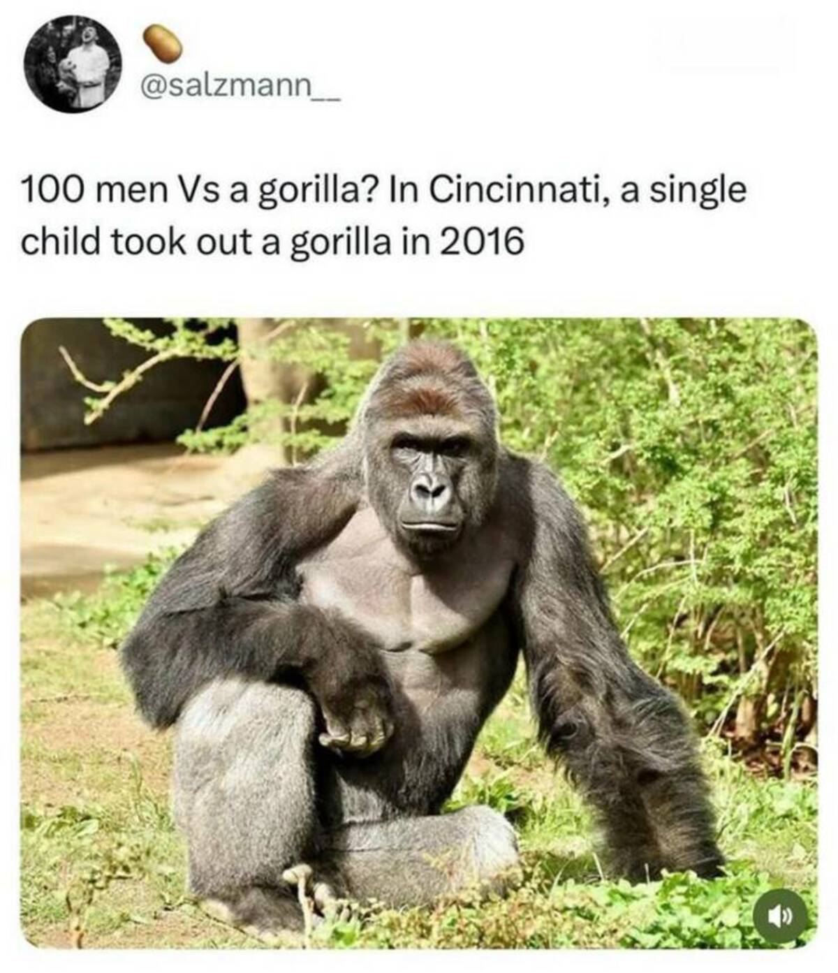 35 Fresh Pics and Memes to Kickstart Monday