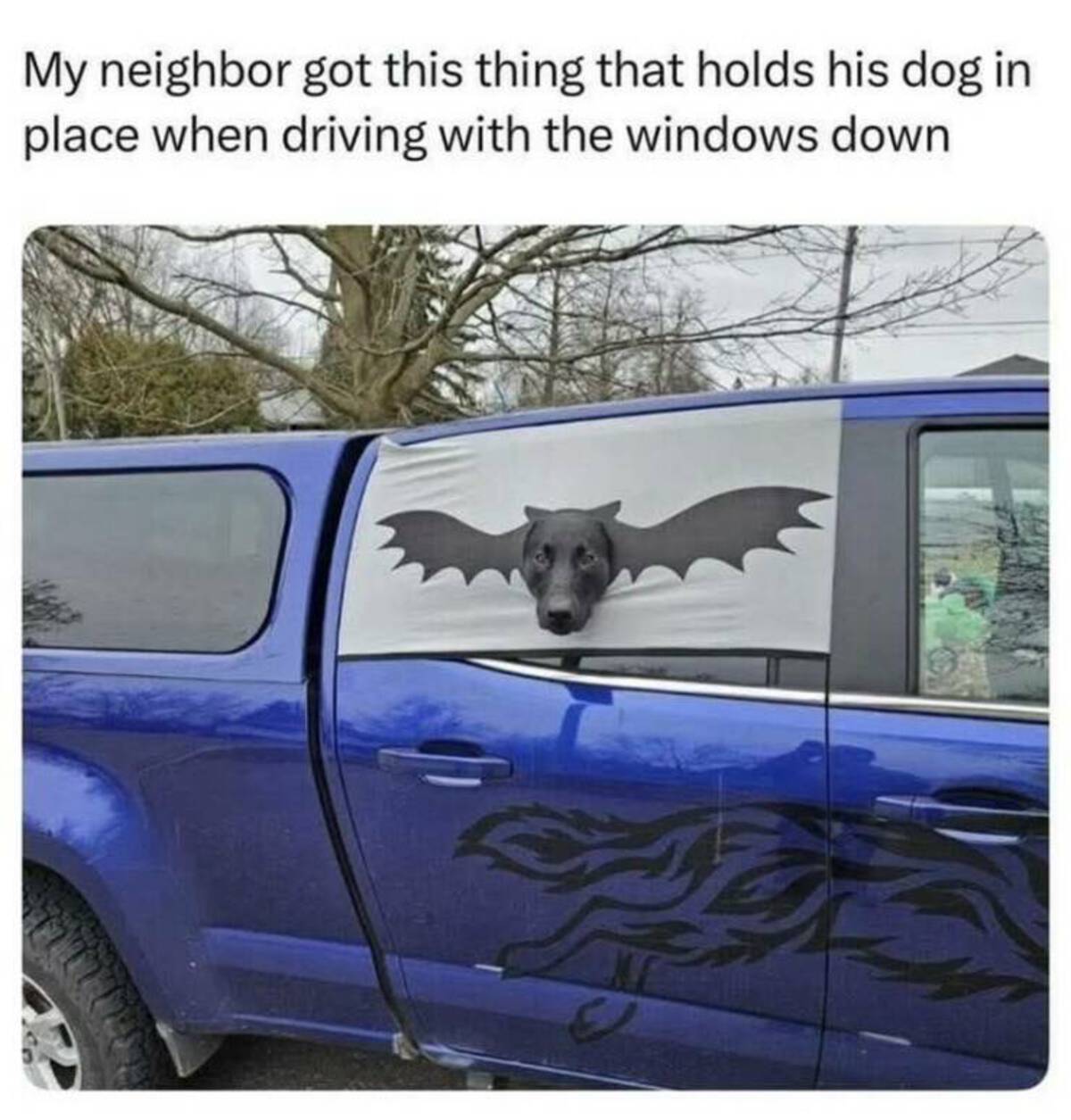 35 Fresh Pics and Memes to Kickstart Monday