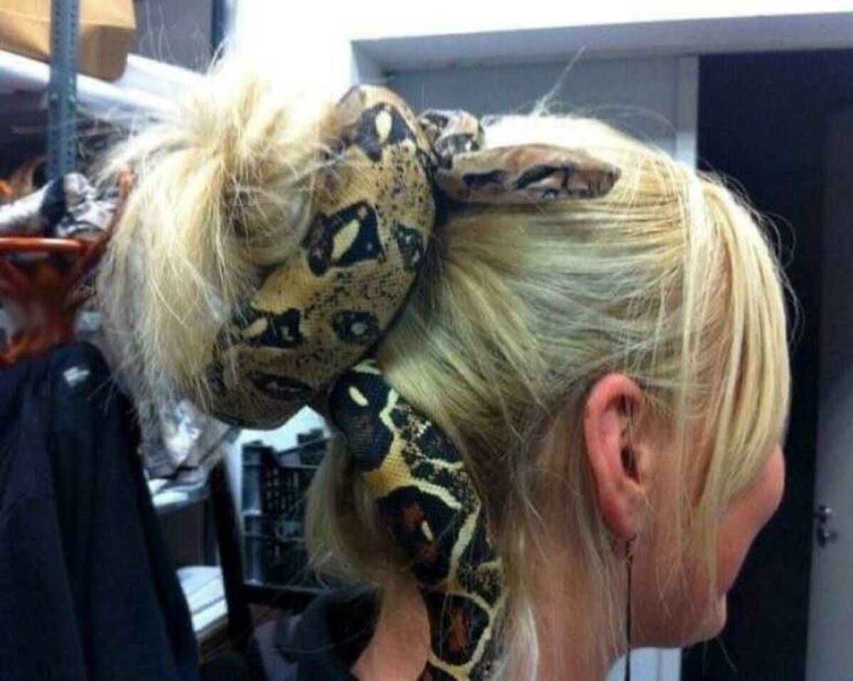 35 Fresh Pics and Memes to Kickstart Monday