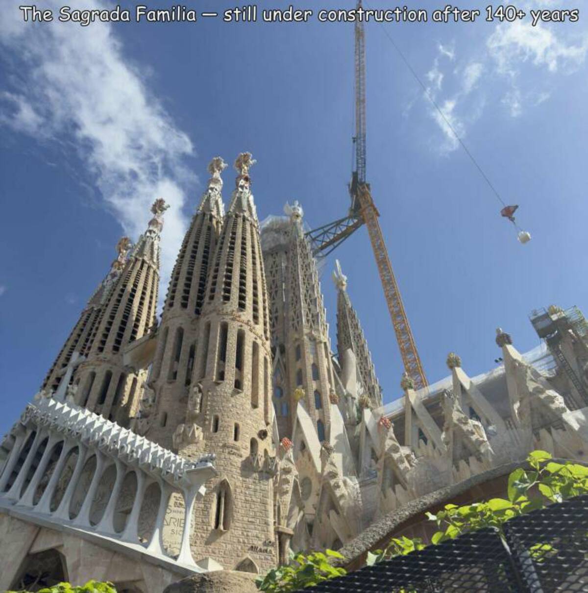 35 Fresh Pics and Memes to Kickstart Monday