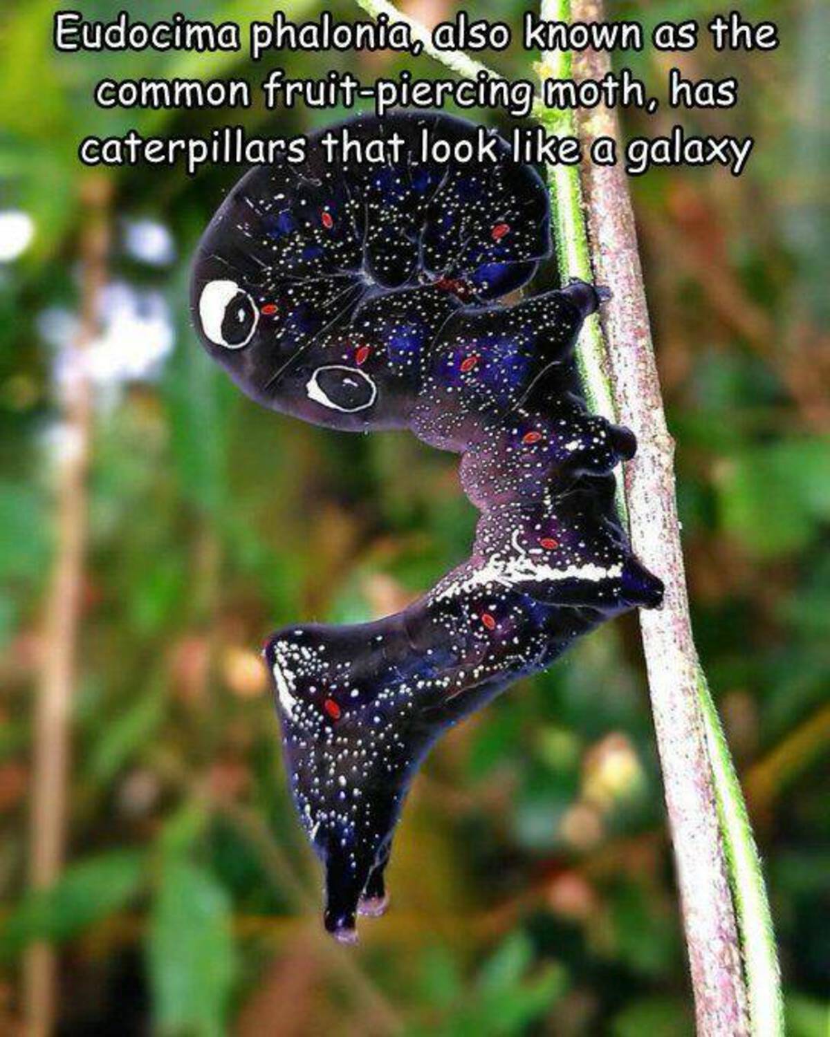 35 Fresh Pics and Memes to Kickstart Monday