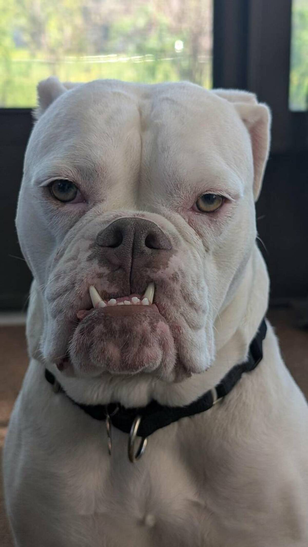 35 Fresh Pics and Memes to Kickstart Monday